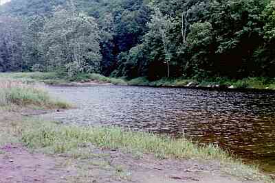 Clothed Section on West River, VT